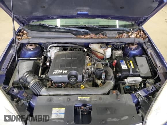 2006 Chevrolet Malibu 2LT с VIN 1G1ZT51896F299471, выставлен на аукционе Copart как лот 49623925 с пробегом 86 109 миль миль и Чистый • Clean title. История ставок и продаж доступна на DreamBid. Изображение 11.