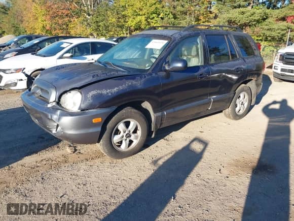 2005 Hyundai Santa Fe GLS with VIN KM8SC73D95U932510, listed as a IAAI auction lot 43461070 with 221,279 mi miles and . Bid and sale history available at DreamBid. Image 2.