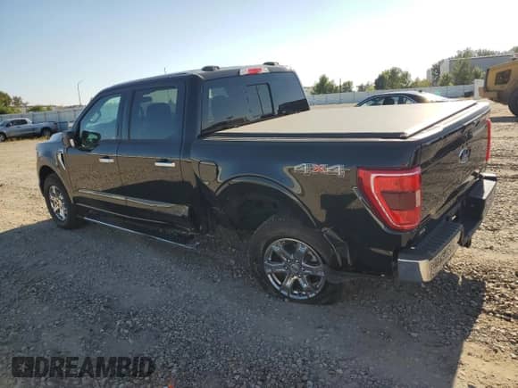 2021 Ford F-150 XLT с VIN 1FTEW1EPXMFC33032, выставлен на аукционе Copart как лот 81278495 с пробегом 9 513 миль миль и Списание • Salvage title. История ставок и продаж доступна на DreamBid. Изображение 2.