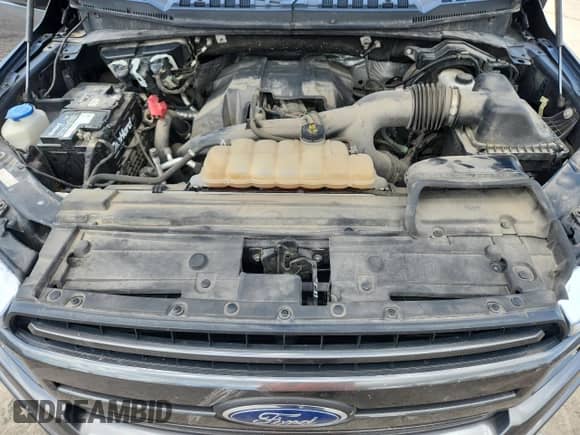 2018 Ford F-150 XL z VIN 1FTEW1EP8JFE39297, wystawiony jako Copart lot #70492805 z przebiegiem 255 284 mil mil oraz Nie do naprawy • Non repairable. Historia ofert i sprzedaży dostępna na DreamBid. Obrazek 11.