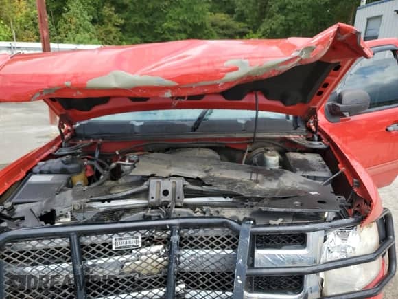 2010 Chevrolet Silverado 1500 LT with VIN 3GCRCSEA0AG161506, listed as a Copart auction lot 71177465 with Not provided miles and Salvage title. Bid and sale history available at DreamBid. Image 11.