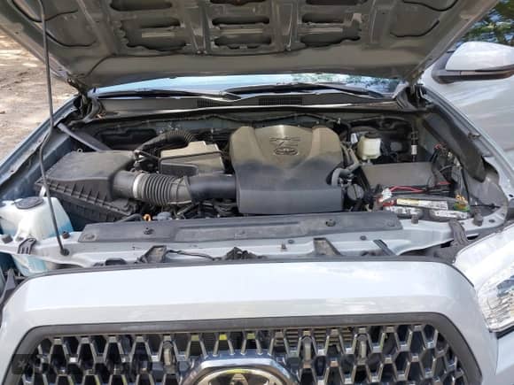 2019 Toyota Tacoma SR5 z VIN 3TMAZ5CN1KM113843, wystawiony jako IAAI lot #42716836 z przebiegiem 43 164 mil mil oraz . Historia ofert i sprzedaży dostępna na DreamBid. Obrazek 10.