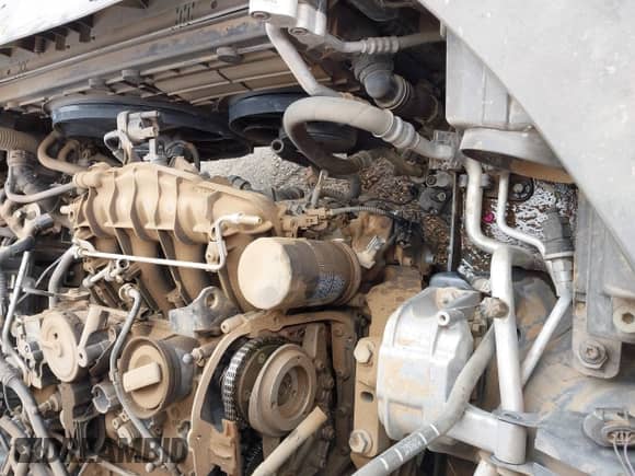 2009 Volkswagen Tiguan S с VIN WVGAV75N59W527492, выставлен на аукционе IAAI как лот 42163953 с пробегом 77 748 миль миль и . История ставок и продаж доступна на DreamBid. Изображение 12.