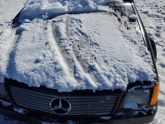 1991 Mercedes-Benz 300 с VIN WDBFA61E7MF020011, выставлен на аукционе Copart как лот 84235894 с пробегом Не указан миль и Списание • Salvage title. История ставок и продаж доступна на DreamBid. Изображение 11.