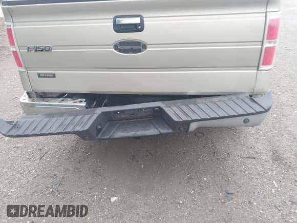 2009 Ford F-150 XL with VIN 1FTRW12889FA44630, listed as a IAAI auction lot 42434615 with 266,580 mi miles and . Bid and sale history available at DreamBid. Image 17.