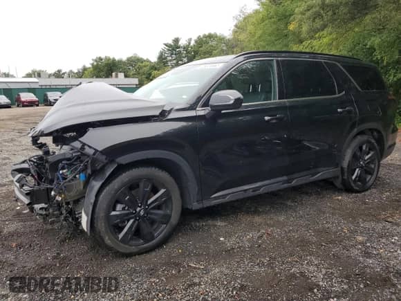 2024 Hyundai Palisade XRT с VIN KM8R34GE1RU670603, выставлен на аукционе Copart как лот 86316525 с пробегом 36 937 миль миль и На запчасти • Non repairable. История ставок и продаж доступна на DreamBid. Изображение 1.