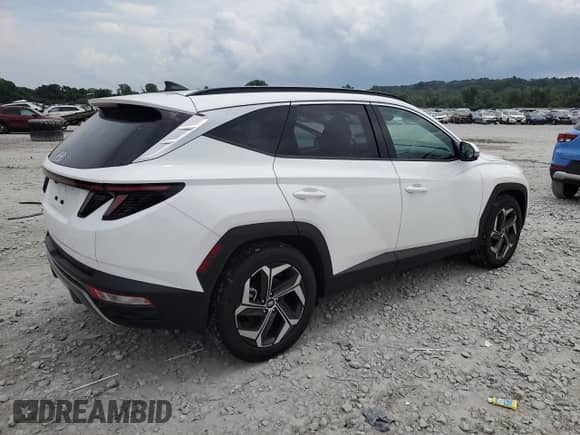 2023 Hyundai Tucson Limited with VIN 5NMJE3AEXPH276777, listed as a Copart auction lot 65532505 with 29,413 mi miles and Salvage title. Bid and sale history available at DreamBid. Image 3.