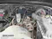 1995 Jeep Wrangler S с VIN 1J4FY19P8SP310099, выставлен на аукционе IAAI как лот 42254030 с пробегом 123 739 миль миль и . История ставок и продаж доступна на DreamBid. Изображение 10.