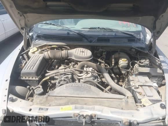1999 Dodge Durango with VIN 1B4HS28Y4XF621359, listed as a IAAI auction lot 42597668 with Not provided miles and . Bid and sale history available at DreamBid. Image 10.