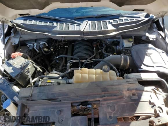 2021 Ford F-150 XL z VIN 1FTFW1E57MKD56393, wystawiony jako Copart lot #79644634 z przebiegiem 227 148 mil mil oraz Szkoda całkowita • Salvage title. Historia ofert i sprzedaży dostępna na DreamBid. Obrazek 13.