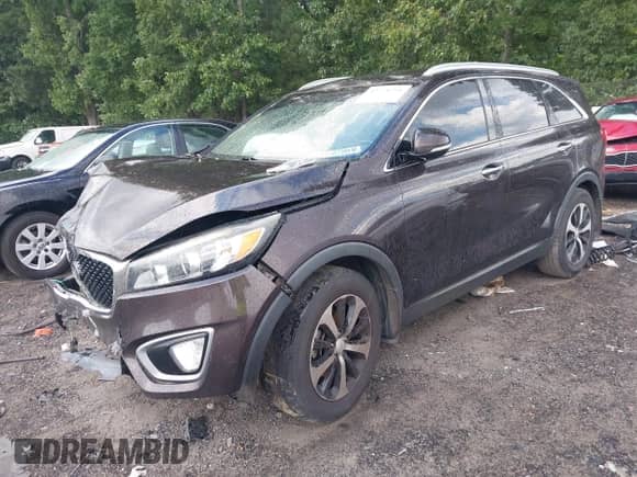 2016 Kia Sorento EX с VIN 5XYPH4A51GG151958, выставлен на аукционе IAAI как лот 42728291 с пробегом 223 133 миль миль и . История ставок и продаж доступна на DreamBid. Изображение 17.