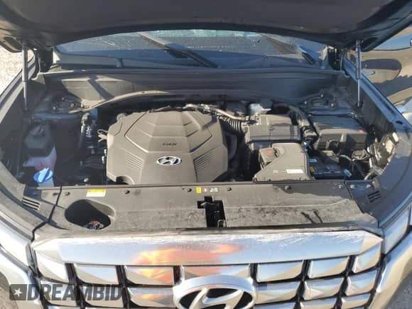 2024 Hyundai Palisade Calligraphy с VIN KM8R74GE5RU723579, выставлен на аукционе Copart как лот 67461754 с пробегом 2 256 миль миль и На запчасти • Non repairable. История ставок и продаж доступна на DreamBid. Изображение 14.