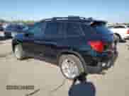 2024 Honda Passport EX-L with VIN 5FNYF8H53RB020581, listed as a Copart auction lot 82087435 with 20,595 mi miles and Salvage title. Bid and sale history available at DreamBid. Image 2.