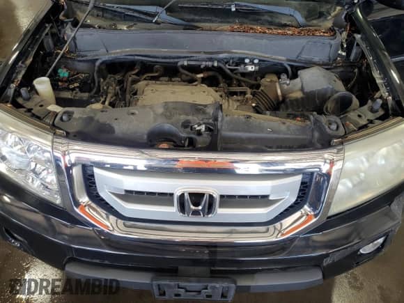 2009 Honda Pilot Touring with VIN 5FNYF38879B018362, listed as a Copart auction lot 63767695 with Not provided miles and Salvage title. Bid and sale history available at DreamBid. Image 12.