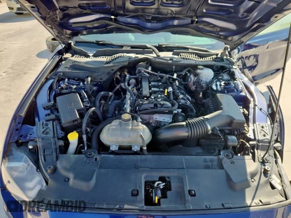 2018 Ford Mustang EcoBoost with VIN 1FA6P8TH1J5159481, listed as a Copart auction lot 81703915 with 107,750 mi miles and Salvage title. Bid and sale history available at DreamBid. Image 11.