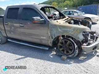 2012 Ford F-150 XL with VIN 1FTFW1ETXCFA05810, listed as a IAAI auction lot 43134691 with Not provided miles and . Bid and sale history available at DreamBid. Image 1.