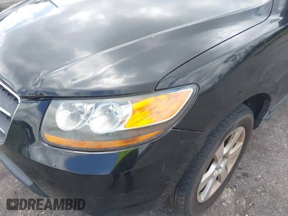 2009 Hyundai Santa Fe Limited z VIN 5NMSH73E19H305764, wystawiony jako IAAI lot #41771765 z przebiegiem 187 042 mil mil oraz . Historia ofert i sprzedaży dostępna na DreamBid. Obrazek 6.