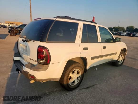 2002 Chevrolet TrailBlazer LTZ z VIN 1GNDT13S922181772, wystawiony jako Copart lot #80696325 z przebiegiem 174 705 mil mil oraz Szkoda całkowita • Salvage title. Historia ofert i sprzedaży dostępna na DreamBid. Obrazek 3.