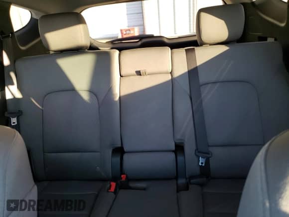 2017 Hyundai Santa Fe 2.4L с VIN 5XYZU3LB3HG433747, выставлен на аукционе Copart как лот 71958585 с пробегом 150 077 миль миль и Списание • Salvage title. История ставок и продаж доступна на DreamBid. Изображение 10.