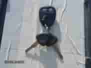 2003 Chevrolet S-10 LS с VIN 1GCCS19X638244318, выставлен на аукционе IAAI как лот 43471226 с пробегом 101 370 миль миль и . История ставок и продаж доступна на DreamBid. Изображение 11.