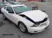 2010 Ford Mustang V6 с VIN 1ZVBP8AN5A5146148, выставлен на аукционе IAAI как лот 43361975 с пробегом 91 063 миль миль и . История ставок и продаж доступна на DreamBid. Изображение 1.