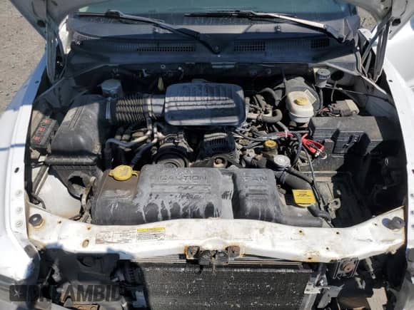 2004 Dodge Dakota with VIN 1D7HG12K04S713712, listed as a Copart auction lot 66125515 with 188,799 mi miles and Salvage title. Bid and sale history available at DreamBid. Image 11.