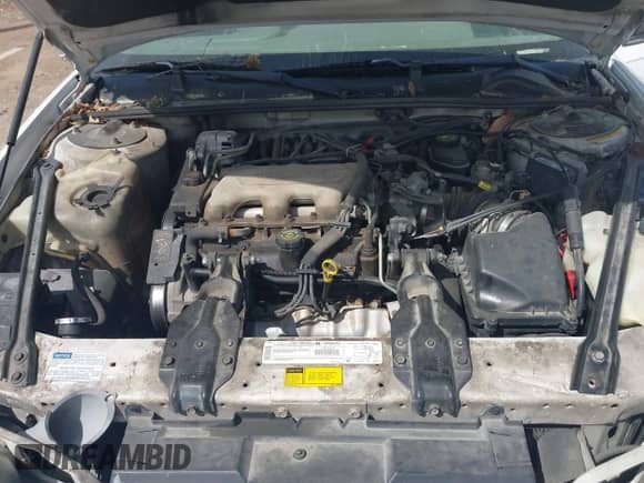 1998 Chevrolet Lumina LS with VIN 2G1WL52M8W9113930, listed as a IAAI auction lot 41886934 with 209,293 mi miles and . Bid and sale history available at DreamBid. Image 10.