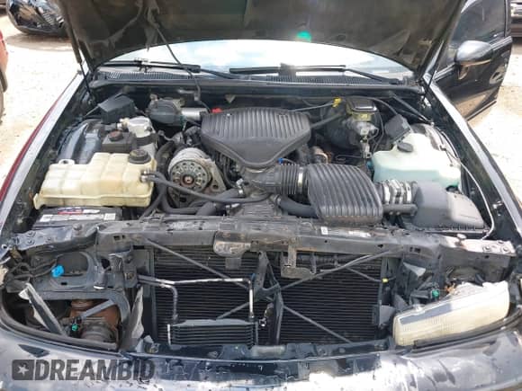 1994 Chevrolet Caprice LS z VIN 1G1BN52P1RR181726, wystawiony jako IAAI lot #39920828 z przebiegiem 115 128 mil mil oraz . Historia ofert i sprzedaży dostępna na DreamBid. Obrazek 10.