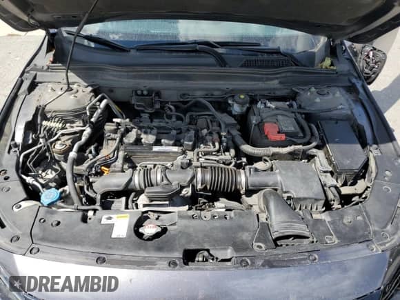 2019 Honda Accord EX-L with VIN 1HGCV1F59KA116447, listed as a Copart auction lot 80028505 with 126,295 mi miles and Salvage title. Bid and sale history available at DreamBid. Image 11.