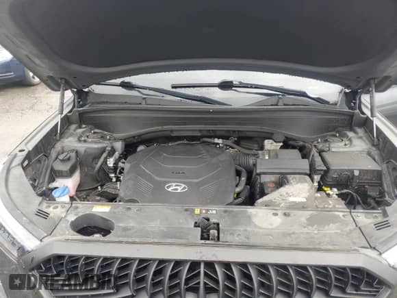 2022 Hyundai Palisade SEL with VIN KM8R44HE0NU382948, listed as a Copart auction lot 70122895 with 60,281 mi miles and Non repairable. Bid and sale history available at DreamBid. Image 12.