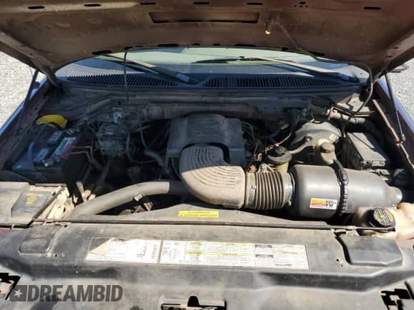 2000 Ford F-150 XL z VIN 1FTRX17W6YKA41445, wystawiony jako Copart lot #85125655 z przebiegiem 293 500 mil mil oraz Szkoda całkowita • Salvage title. Historia ofert i sprzedaży dostępna na DreamBid. Obrazek 11.