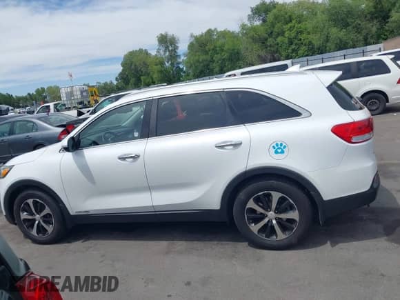 2017 Kia Sorento EX z VIN 5XYPHDA58HG312338, wystawiony jako IAAI lot #42573923 z przebiegiem 136 279 mil mil oraz . Historia ofert i sprzedaży dostępna na DreamBid. Obrazek 14.