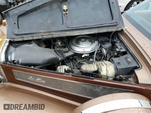 1982 Chevrolet Corvette с VIN 1G1AY8765B5103547, выставлен на аукционе Copart как лот 62270894 с пробегом 68 466 миль миль и Чистый • Clean title. История ставок и продаж доступна на DreamBid. Изображение 11.