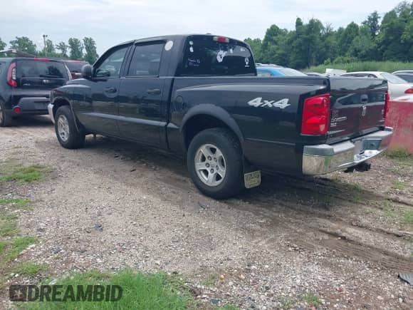 2005 Dodge Dakota SLT with VIN 1D7HW48N35S159220, listed as a IAAI auction lot 42773291 with 324,365 mi miles and . Bid and sale history available at DreamBid. Image 3.