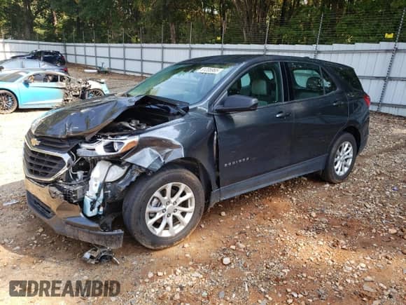 2018 Chevrolet Equinox LS with VIN 2GNAXHEV2J6133328, listed as a Copart auction lot 81206965 with 68,750 mi miles and Salvage title. Bid and sale history available at DreamBid. Image 1.