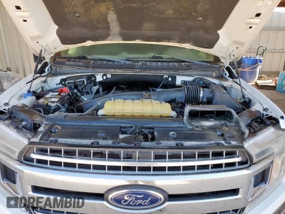 2019 Ford F-150 XLT with VIN 1FTEW1E42KKE96741, listed as a Copart auction lot 86651225 with 125,237 mi miles and Clean title. Bid and sale history available at DreamBid. Image 11.