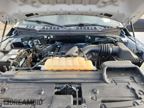 2019 Ford F-150 XL with VIN 1FTEW1E56KKC42040, listed as a Copart auction lot 70372465 with 190,200 mi miles and Salvage title. Bid and sale history available at DreamBid. Image 11.