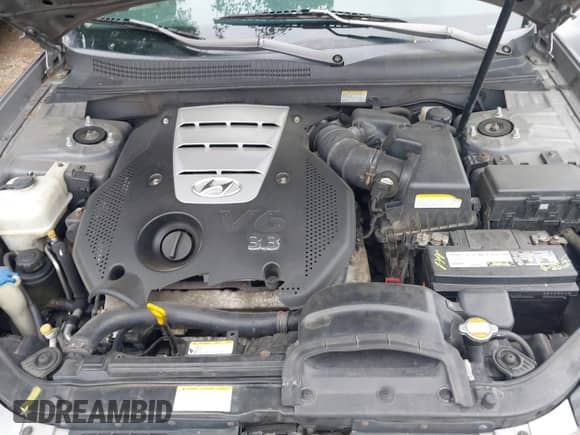 2006 Hyundai Sonata GLS with VIN 5NPEU46F36H116396, listed as a IAAI auction lot 42295058 with 201,553 mi miles and . Bid and sale history available at DreamBid. Image 10.