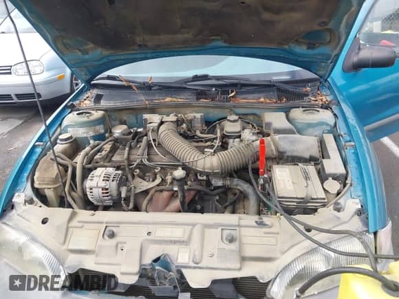 1997 Chevrolet Cavalier с VIN 1G1JC5244V7243035, выставлен на аукционе IAAI как лот 43435880 с пробегом 229 102 миль миль и . История ставок и продаж доступна на DreamBid. Изображение 10.
