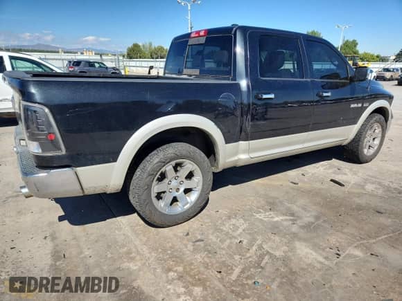 2009 Dodge 1500 Sport with VIN 1D3HV13T59S706261, listed as a Copart auction lot 81192865 with 185,299 mi miles and Clean title. Bid and sale history available at DreamBid. Image 3.