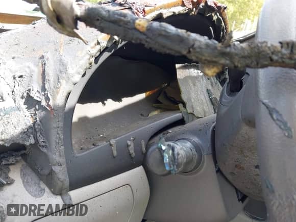 2009 Toyota Camry with VIN 4T1BE46K59U855630, listed as a IAAI auction lot 43361086 with Not provided miles and . Bid and sale history available at DreamBid. Image 7.