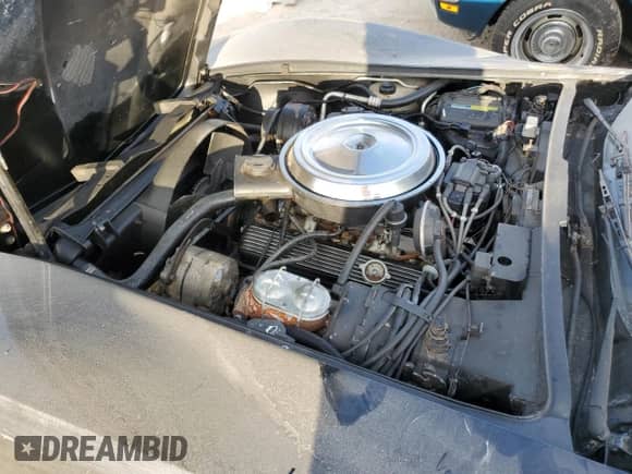 1981 Chevrolet Corvette с VIN 1G1AY8763B5103059, выставлен на аукционе Copart как лот 75293044 с пробегом 91 784 миль миль и Списание • Salvage title. История ставок и продаж доступна на DreamBid. Изображение 11.