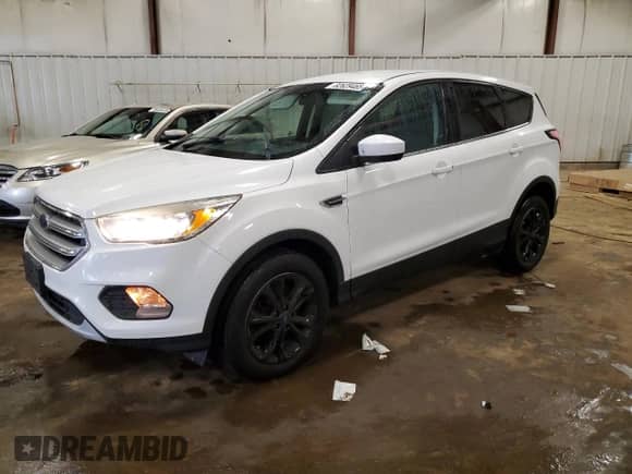 2017 Ford Escape SE с VIN 1FMCU9GD1HUE18663, выставлен на аукционе Copart как лот 82629465 с пробегом 66 265 миль миль и Чистый • Clean title. История ставок и продаж доступна на DreamBid. Изображение 1.