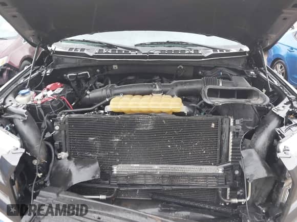 2017 Ford F-150 XLT with VIN 1FTEW1EG9HKD39730, listed as a IAAI auction lot 43246448 with 131,077 mi miles and . Bid and sale history available at DreamBid. Image 10.