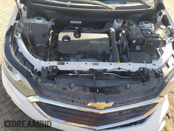 2018 Chevrolet Equinox LT с VIN 2GNAXJEVXJ6153611, выставлен на аукционе Copart как лот 84196465 с пробегом 45 095 миль миль и Списание • Salvage title. История ставок и продаж доступна на DreamBid. Изображение 11.