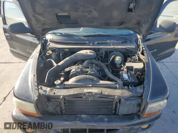 1999 Dodge Durango z VIN 1B4HS28Z4XF521562, wystawiony jako Copart lot #76974074 z przebiegiem 202 296 mil mil oraz Szkoda całkowita • Salvage title. Historia ofert i sprzedaży dostępna na DreamBid. Obrazek 13.