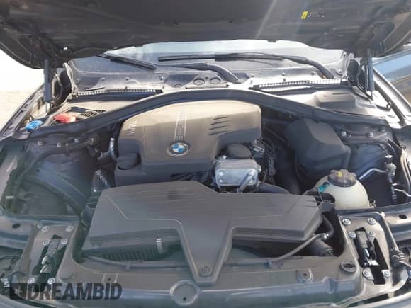2017 BMW 3 Series 320i with VIN WBA8E1G51HNU13780, listed as a IAAI auction lot 43342838 with 113,511 mi miles and . Bid and sale history available at DreamBid. Image 10.