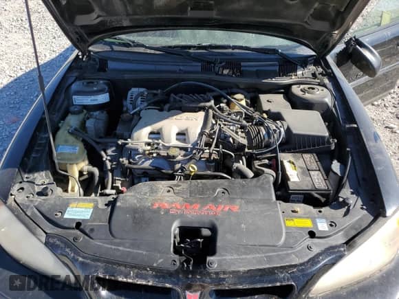 2000 Pontiac Grand Am GT с VIN 1G2NW52E9YM769146, выставлен на аукционе Copart как лот 76117814 с пробегом 94 122 миль миль и Чистый • Clean title. История ставок и продаж доступна на DreamBid. Изображение 12.