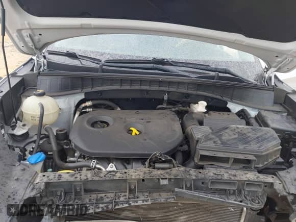 2017 Hyundai Tucson SE z VIN KM8J33A44HU400464, wystawiony jako IAAI lot #43404828 z przebiegiem 155 489 mil mil oraz . Historia ofert i sprzedaży dostępna na DreamBid. Obrazek 10.