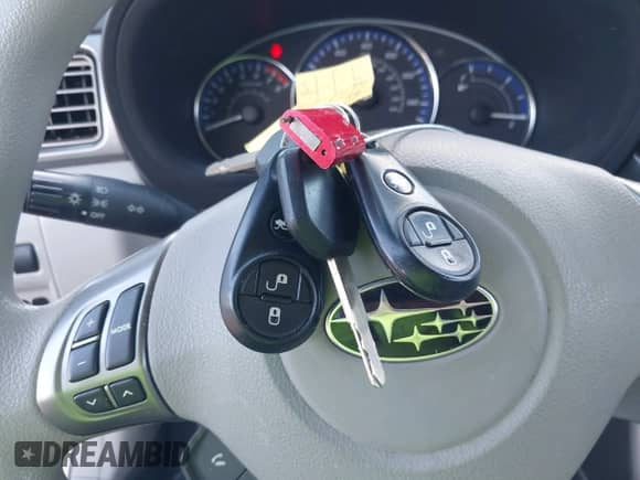 2011 Subaru Forester X Premium with VIN JF2SHBDC0BH750845, listed as a IAAI auction lot 43399056 with 126,894 mi miles and . Bid and sale history available at DreamBid. Image 11.